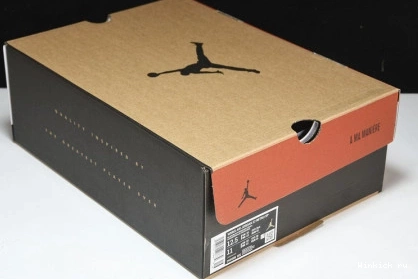 12 AJ12 WMNS SP RETRO Jordan Air 0809